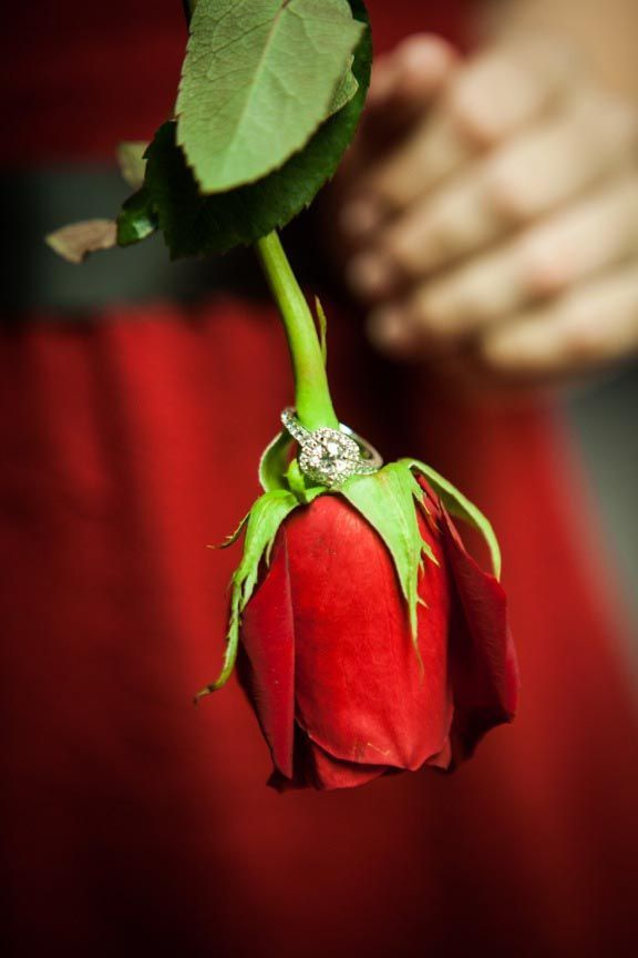 Introducing Princess-themed Weddings Inspired by Beauty and the Beast ♡にて紹介している画像