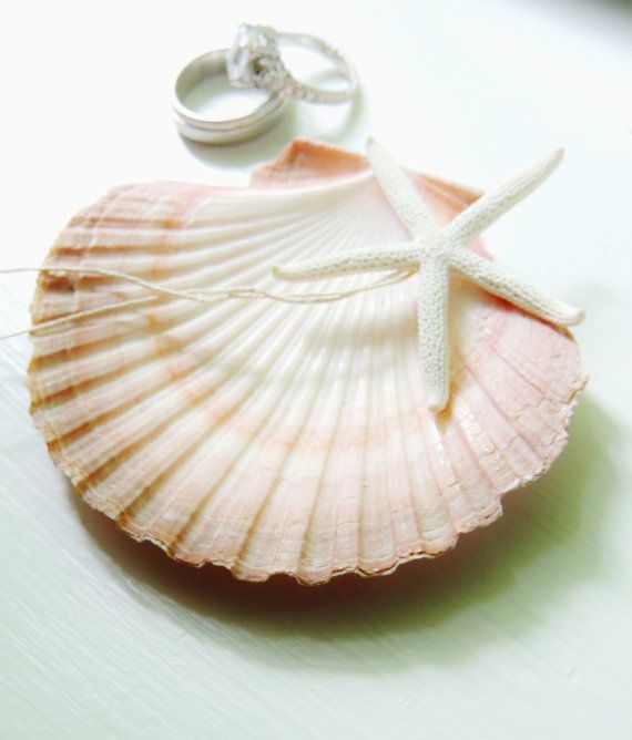 Mermaid-Inspired Shell Ring Pillows for a Dreamy Beach Wedding ♥にて紹介している画像
