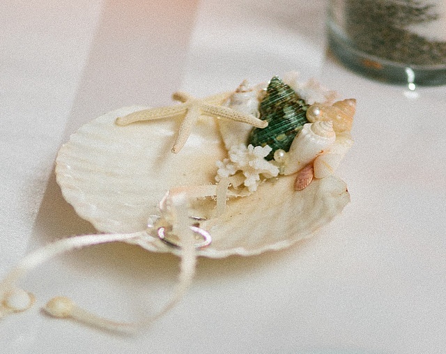 Mermaid-Inspired Shell Ring Pillows for a Dreamy Beach Wedding ♥にて紹介している画像