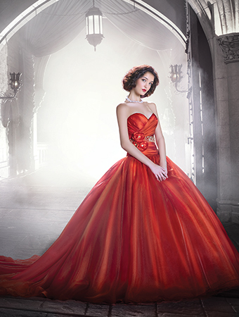 DFW Exclusive Brand: A Collection of Disney Princess Dresses by "Alfred Angelo" ♡にて紹介している画像