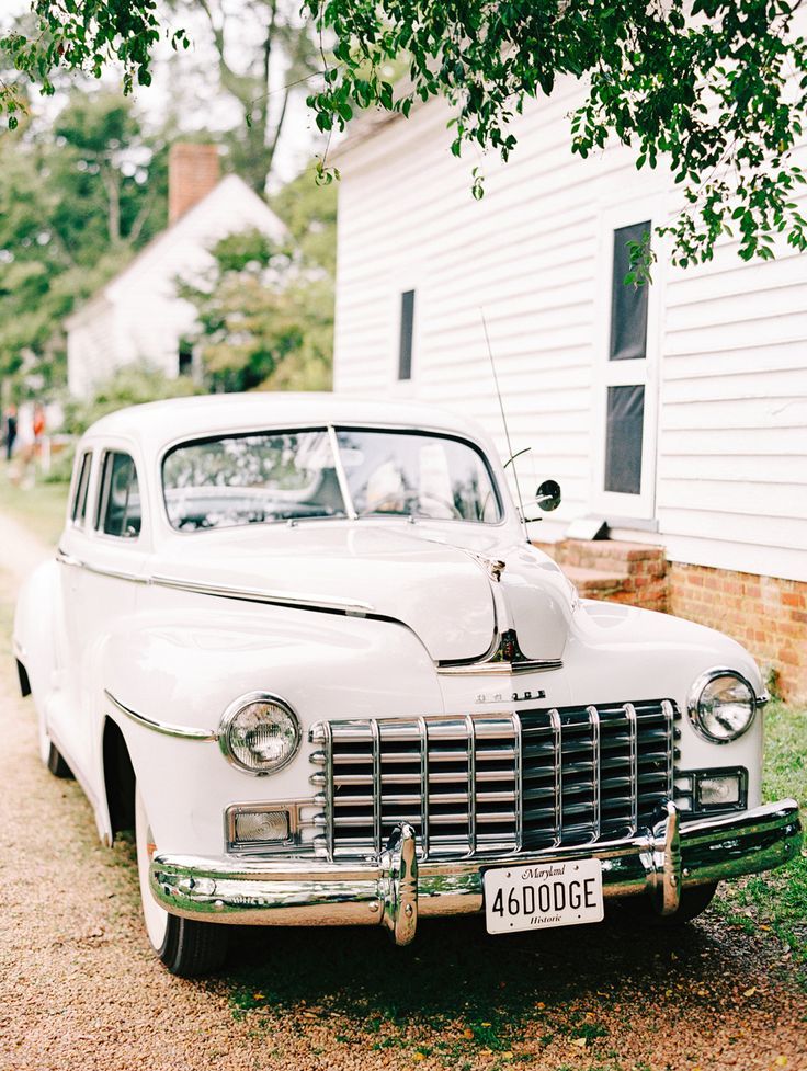 Introducing a Romantic Wedding Held in a Lush Green Forest Park ♡にて紹介している画像