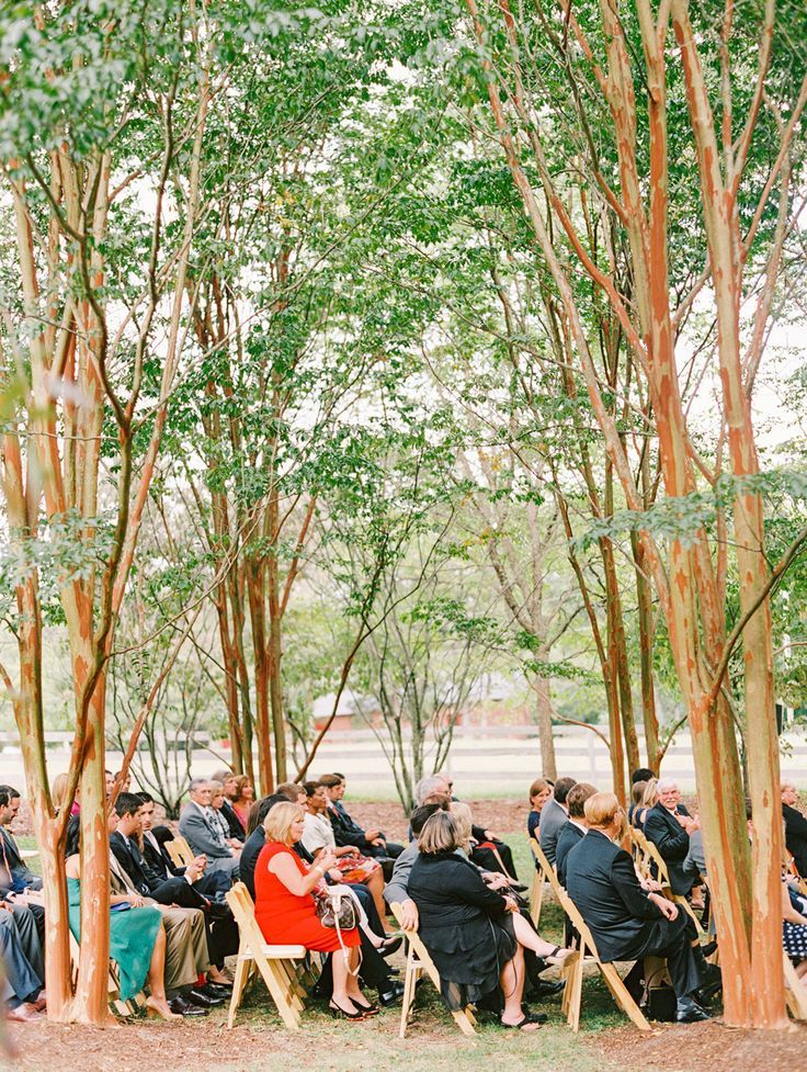 Introducing a Romantic Wedding Held in a Lush Green Forest Park ♡にて紹介している画像