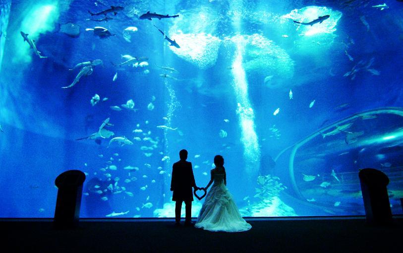 Ariel's World: Wonderful Wedding Ideas Inspired by The Little Mermaidにて紹介している画像