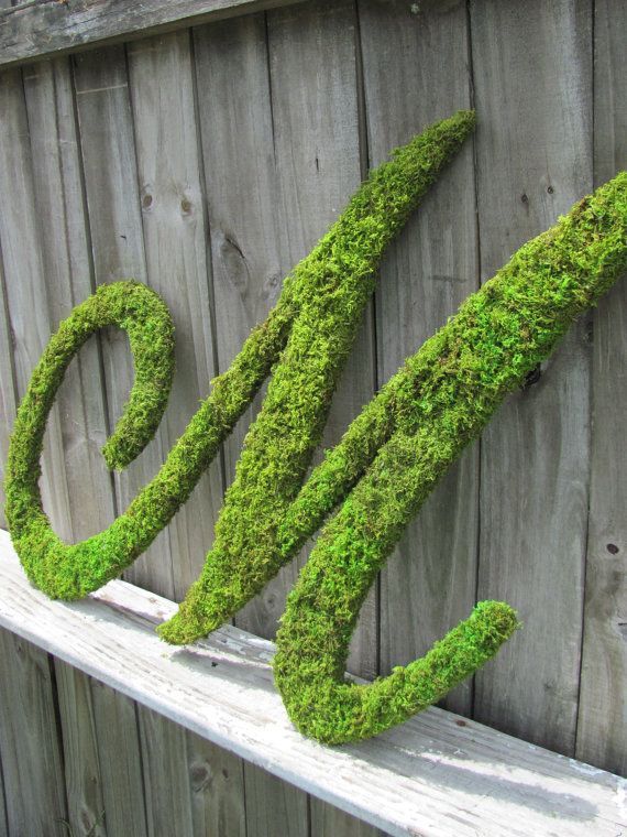 Natural and Cute DIY: Spotlight on the Fluffy Green 'Initial Moss'!にて紹介している画像