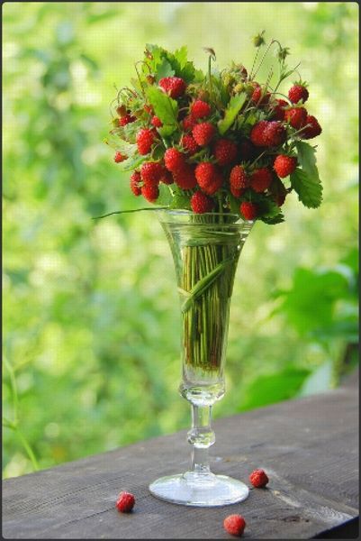 Fruits & Flowers: The Most Romantic Bouquet Featuring Strawberries♡にて紹介している画像