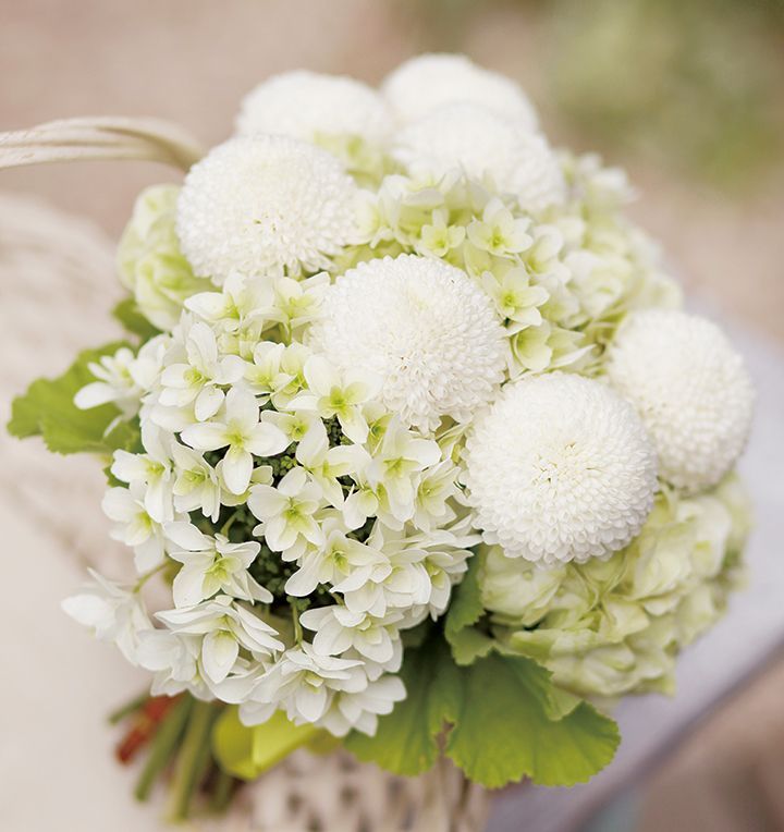 "Autumn Floral Bouquet Catalog: A Collection of Seasonal Flowers to Create the Perfect Bouquet♡"にて紹介している画像