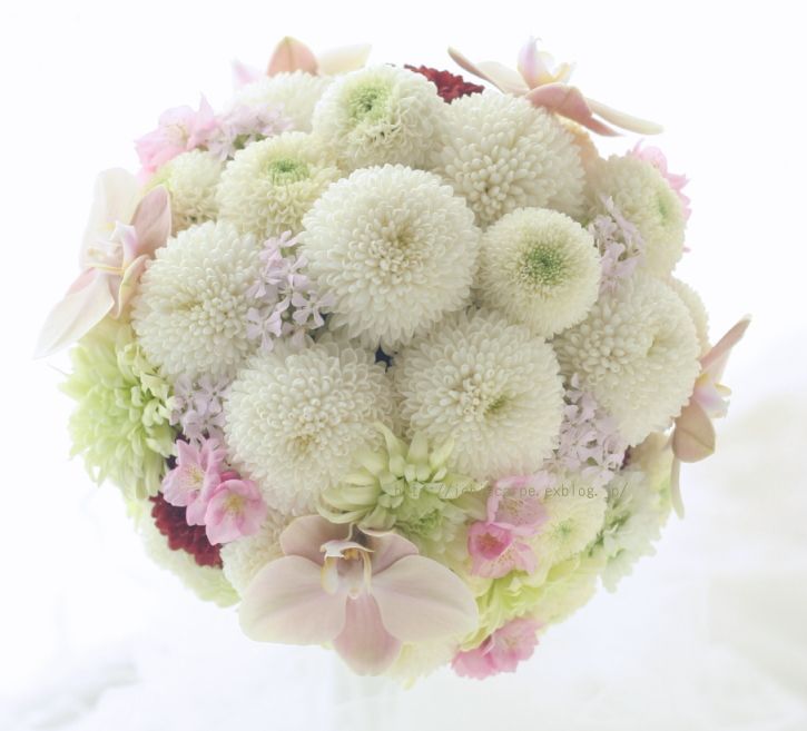 "Autumn Floral Bouquet Catalog: A Collection of Seasonal Flowers to Create the Perfect Bouquet♡"にて紹介している画像