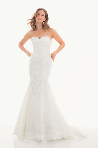 Unveiling Radiance: Achieve Unmatched Beauty with 'Jad Wadel' Wedding Dresses!にて紹介している画像