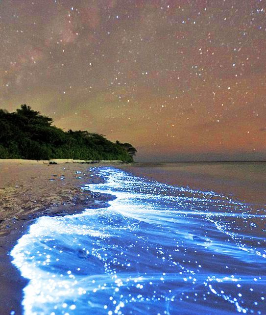 Popular Honeymoon Destination: Maldives’ Famous Resort "Himmafushi" and the "Glowing Beaches" – Did You Know?にて紹介している画像