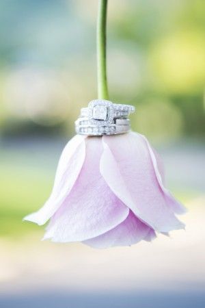 Engagement Rings to Choose: A Catalog of Ribbon and Flower Motif Rings from Top Brands ♩にて紹介している画像