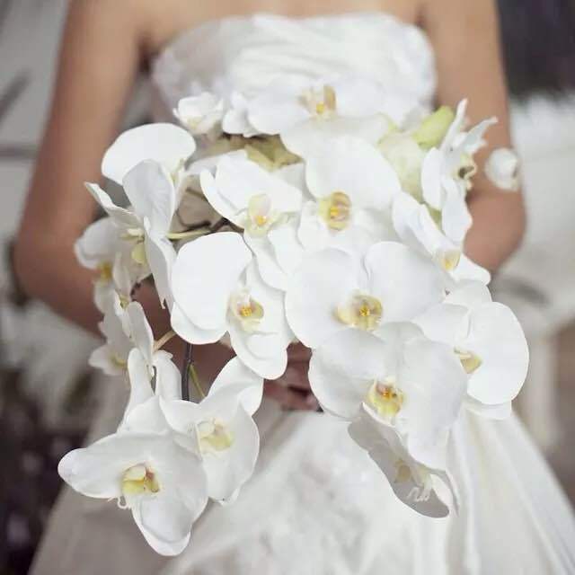 Exclusive Event for marry Readers: Try on the Adorable TAKAMI BRIDAL Dresses!にて紹介している画像