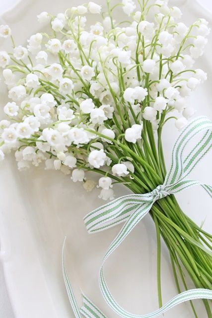 Perfect for the Pure White Bride ♩ A Featured Recipe Collection for Creating Pure & Elegant All-White Wedding Bouquets＊にて紹介している画像