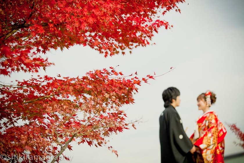 Autumn Leaves: Perfect for Fall Weddings - Capture Limited-Season Wedding Photos You Can Only Take Now! ♡にて紹介している画像