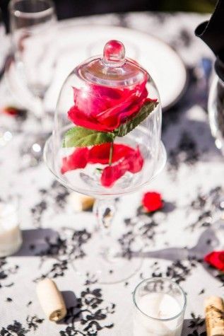 "Selected Spots from the 'Holy Ground for Lovers' Project! The Majestic 'Royal Grace Cathedral' - Hokuriku's Largest Chapel is Simply Amazing!"にて紹介している画像