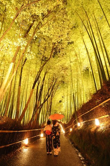 "5 Must-Visit Pre-Wedding Photography Spots in Autumn Kyoto: A Season of Gorgeous Fall Colors♡"にて紹介している画像