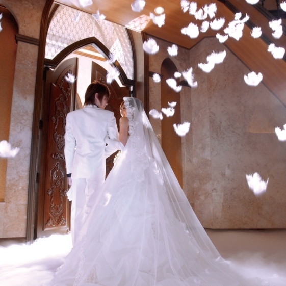 Fluffy and Angelic: The Rising Trend of Feather Showers for Wedding Ceremonies ✨にて紹介している画像