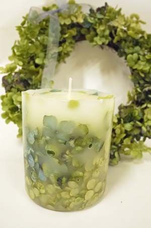 Beautiful Hues ♡ Do You Know About 'Autumn-Colored Hydrangeas' That Let You Enjoy the Feel of the Season?にて紹介している画像