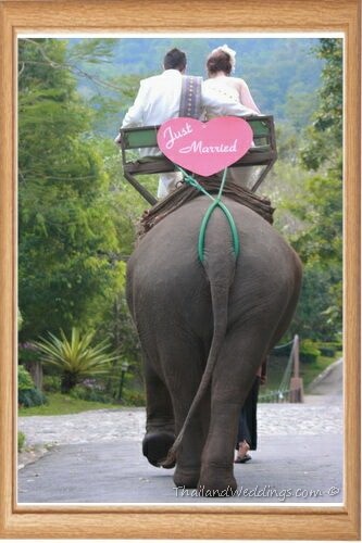 "These Photos Might be Memorable! Wedding Photos with Elephants ♡"にて紹介している画像