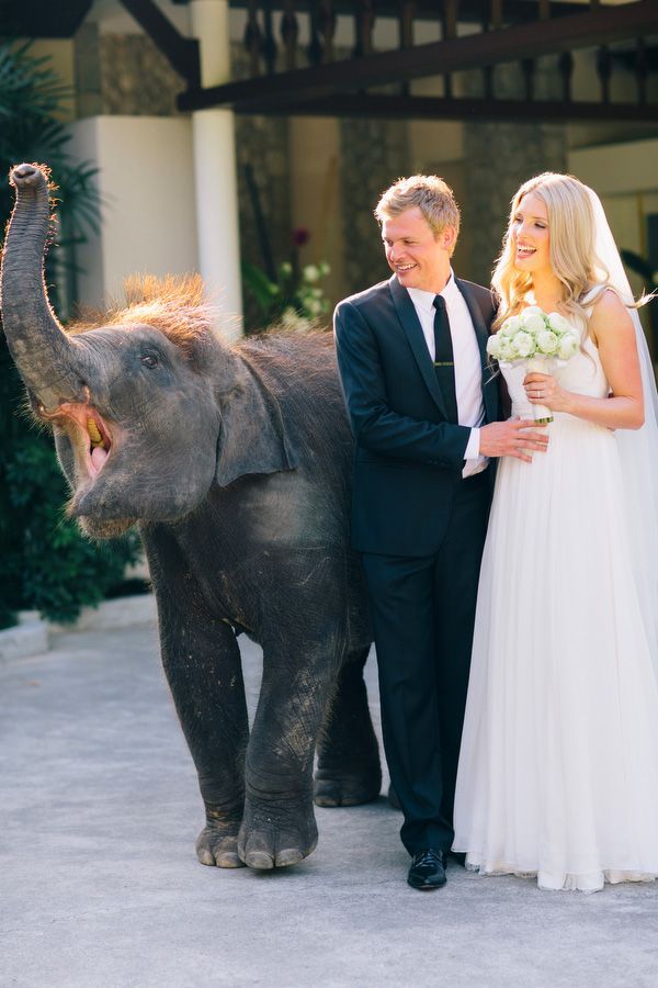 "These Photos Might be Memorable! Wedding Photos with Elephants ♡"にて紹介している画像