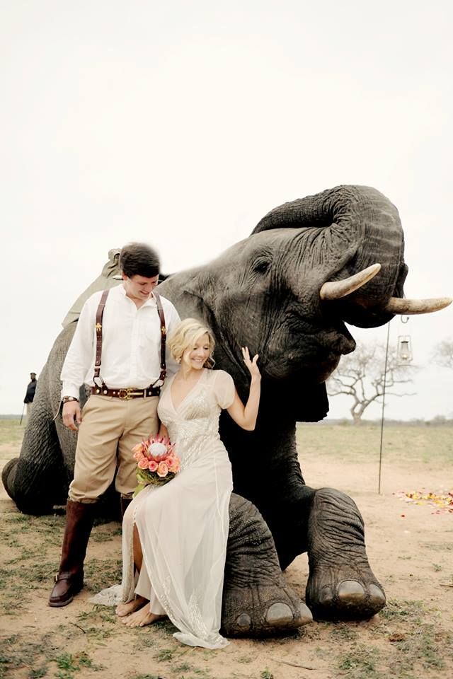 "These Photos Might be Memorable! Wedding Photos with Elephants ♡"にて紹介している画像