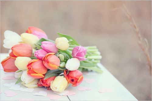 A Bouquet of Sweet♡ Tulips with a Touch of Transparency is Adorable♡にて紹介している画像