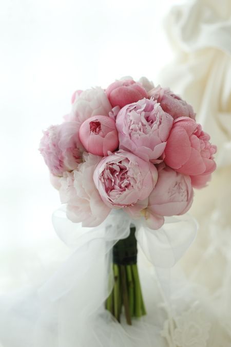 Perfect Bouquets for Your Wedding: A Curated Collection by Silhouette ✳︎にて紹介している画像