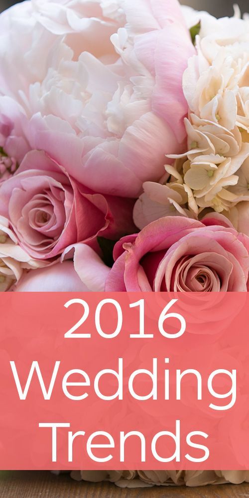 2016年はどんなドレスが流行るの？♡流行に敏感なプレ花嫁さんの為の《ドレストレンド》まとめ♡にて紹介している画像