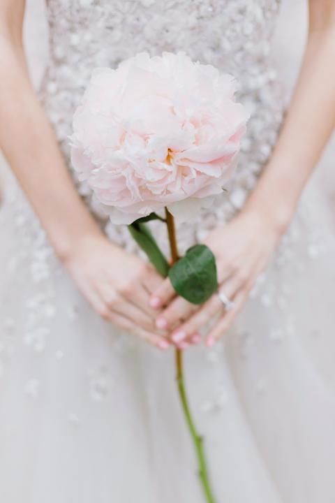 A One-Stem Bouquet with Big Flowers is Absolutely Adorable♡にて紹介している画像
