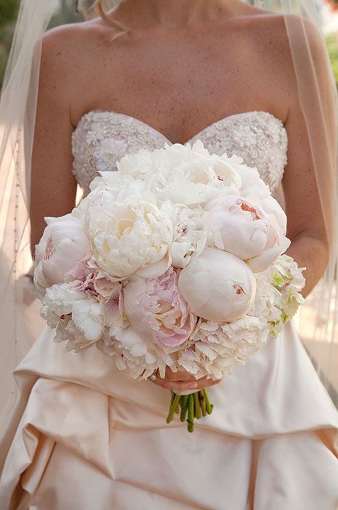 A Colorful Collection of Magnificent Peony Bouquets! ♡にて紹介している画像