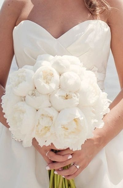 A Colorful Collection of Magnificent Peony Bouquets! ♡にて紹介している画像