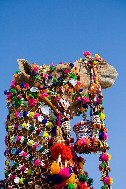 世界の花嫁たち♡レースがかわいすぎるインドのweddingをご紹介♡にて紹介している画像