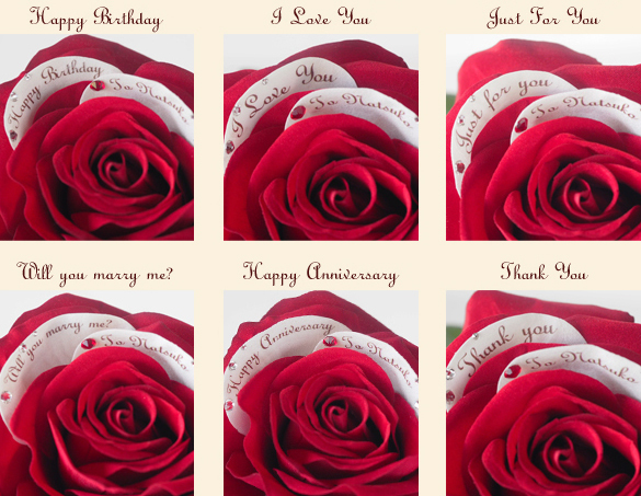 「結婚しよう」の言葉と一緒に欲しい＊『メリアルームメン』の素敵なプロポーズフラワー4選♡にて紹介している画像