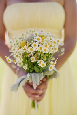 ハーブのいい香りで癒される♡清楚で可愛いカモミールの花束が素敵です♡にて紹介している画像