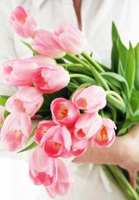 Perfect Flowers for Weddings: A Compilation of Recommended Bouquets Based on Their Flower Meanings ♡にて紹介している画像