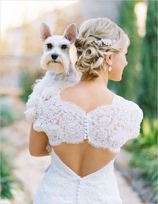 Family Photos: 4 Must-Have Wedding Photo Scenes with My Beloved Dog♡にて紹介している画像