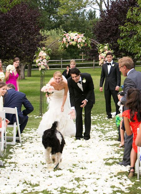 Family Photos: 4 Must-Have Wedding Photo Scenes with My Beloved Dog♡にて紹介している画像