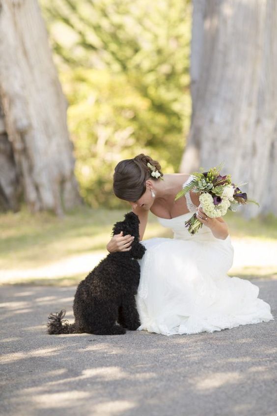 Family Photos: 4 Must-Have Wedding Photo Scenes with My Beloved Dog♡にて紹介している画像