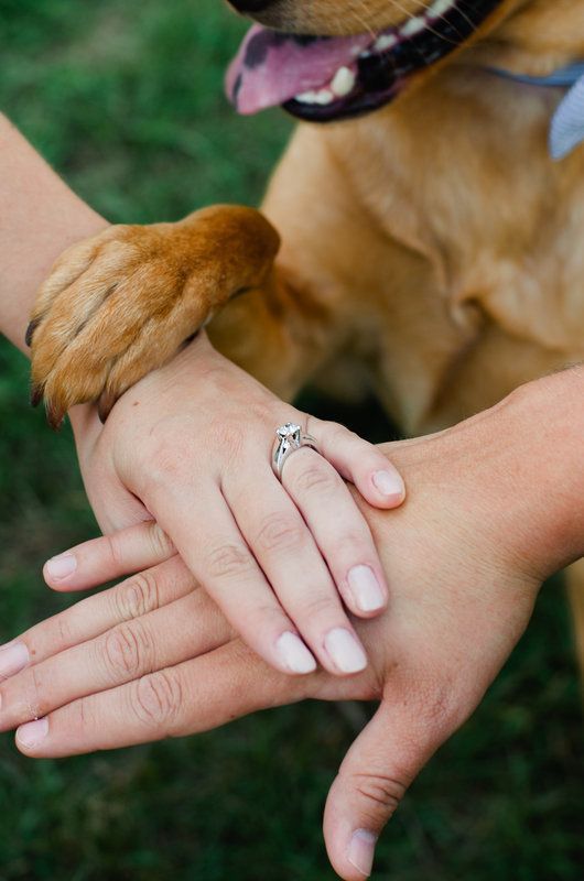 Family Photos: 4 Must-Have Wedding Photo Scenes with My Beloved Dog♡にて紹介している画像
