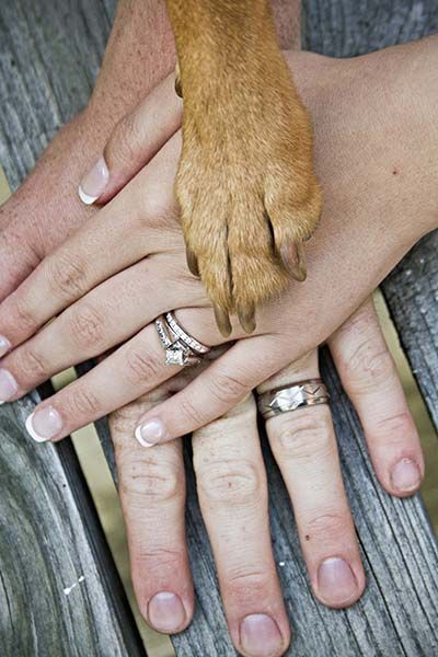 Family Photos: 4 Must-Have Wedding Photo Scenes with My Beloved Dog♡にて紹介している画像