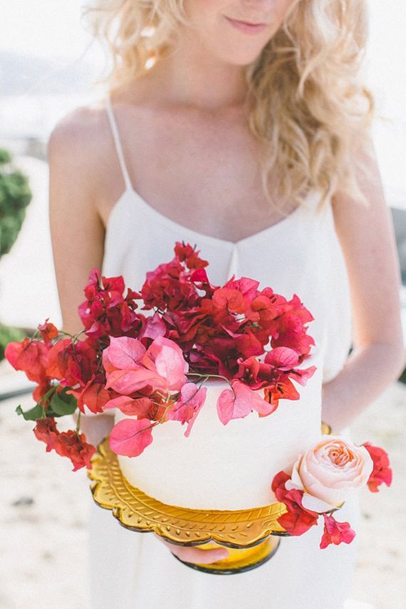 Tropical Flowers: The Adorable Fuchsia Bougainvillea! 🌸にて紹介している画像