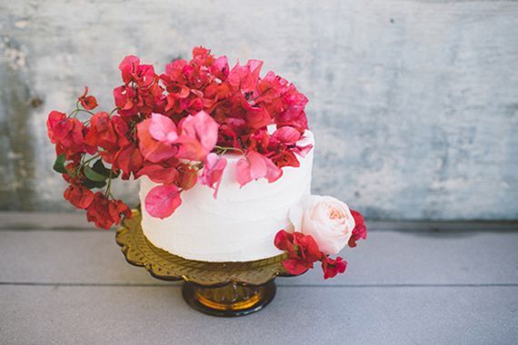 Tropical Flowers: The Adorable Fuchsia Bougainvillea! 🌸にて紹介している画像