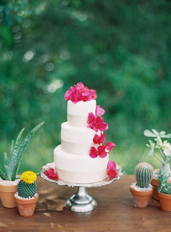 Tropical Flowers: The Adorable Fuchsia Bougainvillea! 🌸にて紹介している画像