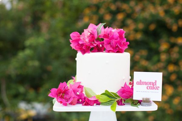 Tropical Flowers: The Adorable Fuchsia Bougainvillea! 🌸にて紹介している画像