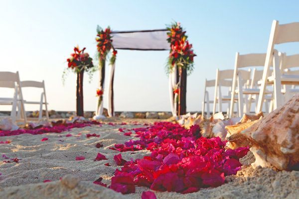 Tropical Flowers: The Adorable Fuchsia Bougainvillea! 🌸にて紹介している画像