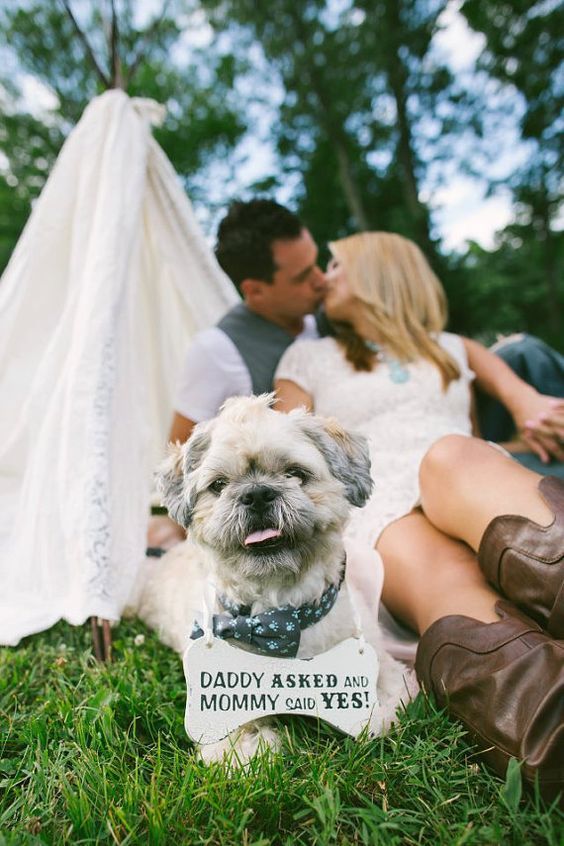 Family Photos: 4 Must-Have Wedding Photo Scenes with My Beloved Dog♡にて紹介している画像