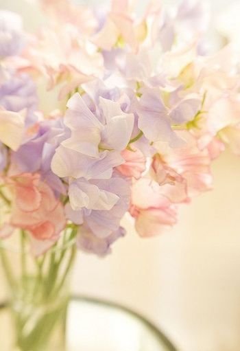 "Creating a Spring-colored Wedding with Spring Flowers: A Collection of the Most Beautiful Blooms of the Season♡"にて紹介している画像