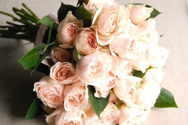 Charm of Old Roses: The Cutest English Rose Bouquet Ever!にて紹介している画像