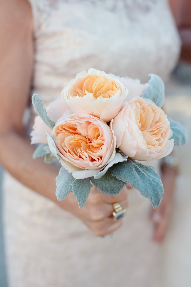 Charm of Old Roses: The Cutest English Rose Bouquet Ever!にて紹介している画像