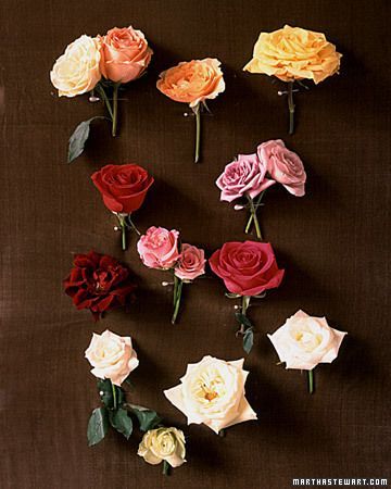 Charm of Old Roses: The Cutest English Rose Bouquet Ever!にて紹介している画像