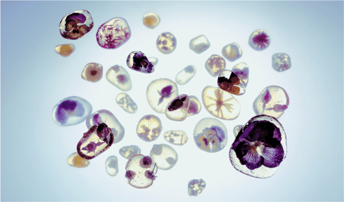 思わず見惚れる美しさ。≪チネカ≫のお菓子がとっても可愛い**にて紹介している画像